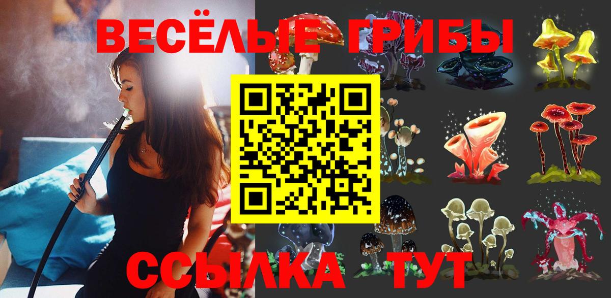 Псилоцибиновые грибы Cubensis Гурьевск
